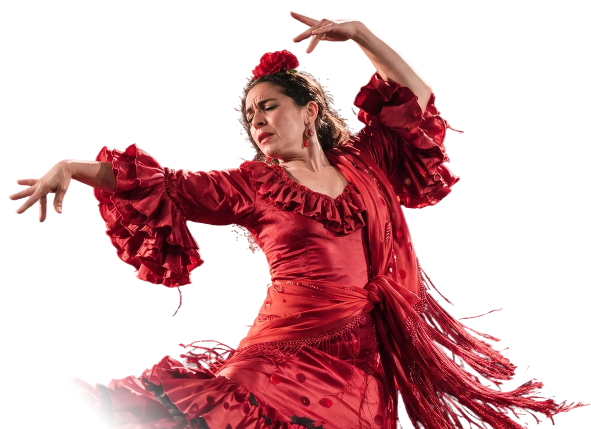 Bailaora de La Cantaora en pleno baile
