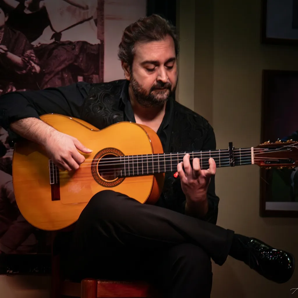 Guitarrista flamenco en directo